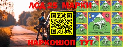 дмт Новокубанск