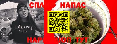 дмт Новокубанск